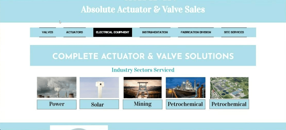AAVS old website